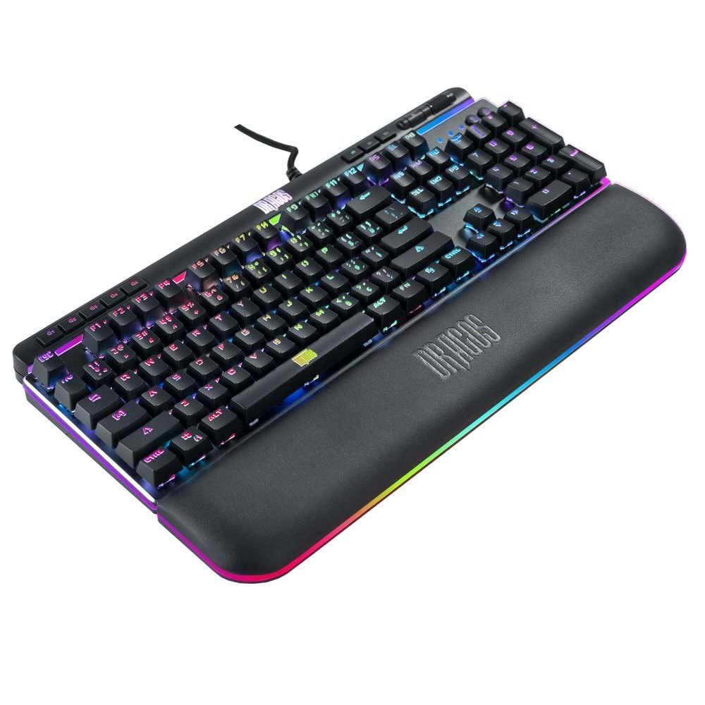 Dragos Infinity Pro INF500P USB Kablolu Full Rgb Makro Gaming Klavye Mekanik Blue Switch Mekanik RGB